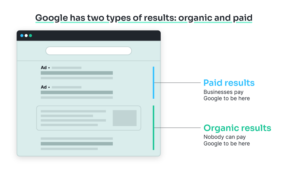 Paid and organic results