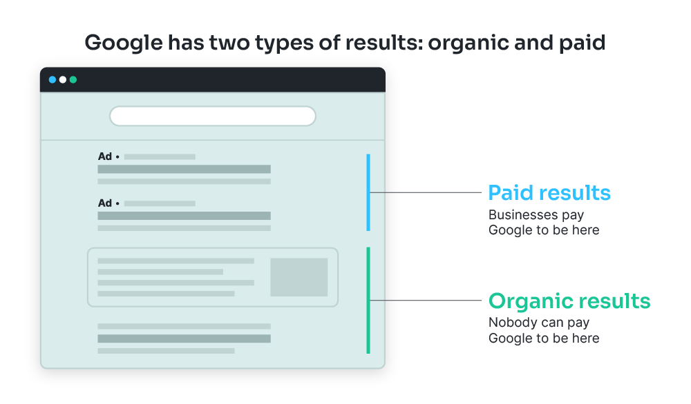 Paid and organic results